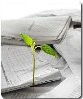 Coaching Professionnel Krisolit Coaching 03