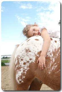 Mediation Animale Krisolit Coaching 01