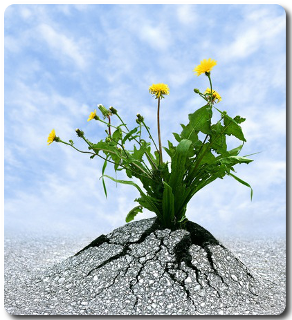 RuptureDeVie Krisolit Coaching 02